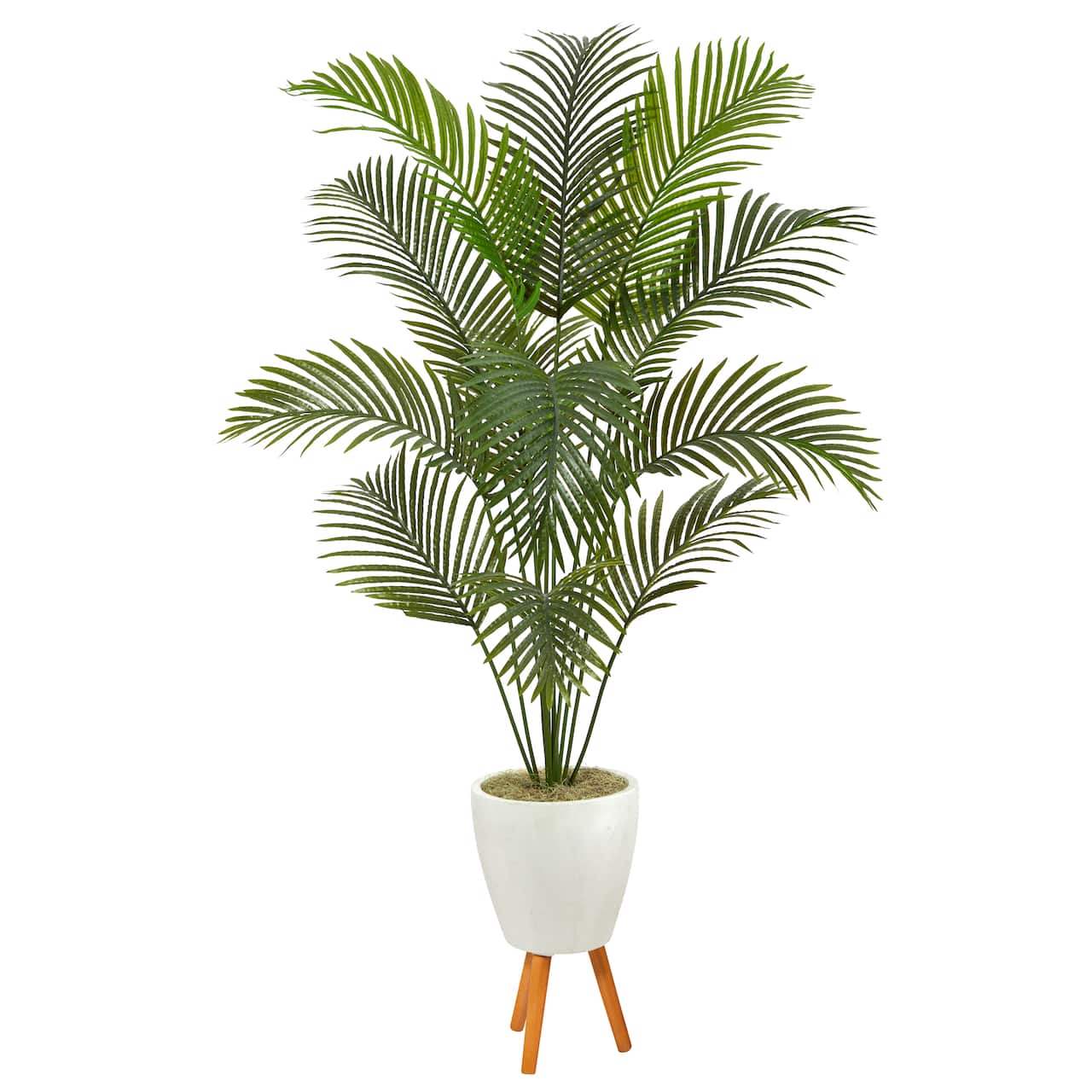 6.5ft. Golden Cane Palm Tree in White Planter with Stand